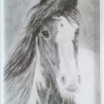 Portret tinker paard