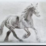 Tinker paard tekening