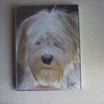 Uitvaartportret hond denny