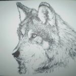 Pentekening Wolf