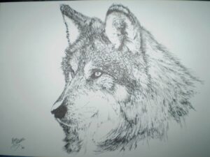 Lijn-ets Wolf