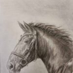 Paard portret