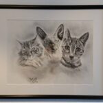 Huisdieren portret van katten